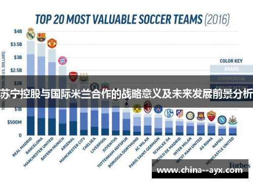 苏宁控股与国际米兰合作的战略意义及未来发展前景分析