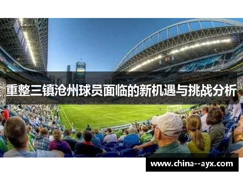 重整三镇沧州球员面临的新机遇与挑战分析