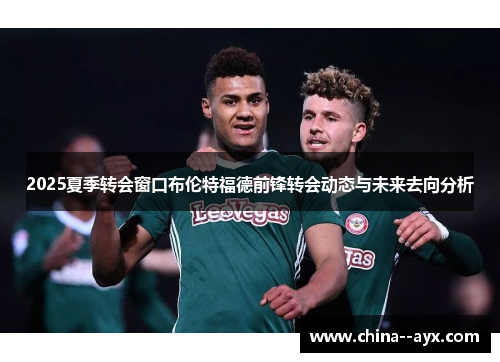 2025夏季转会窗口布伦特福德前锋转会动态与未来去向分析