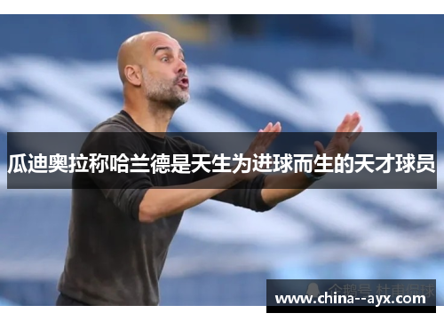 瓜迪奥拉称哈兰德是天生为进球而生的天才球员